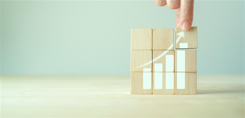 fractional marketing services