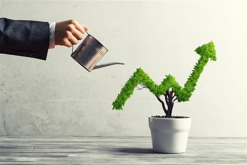 digital marketing growth