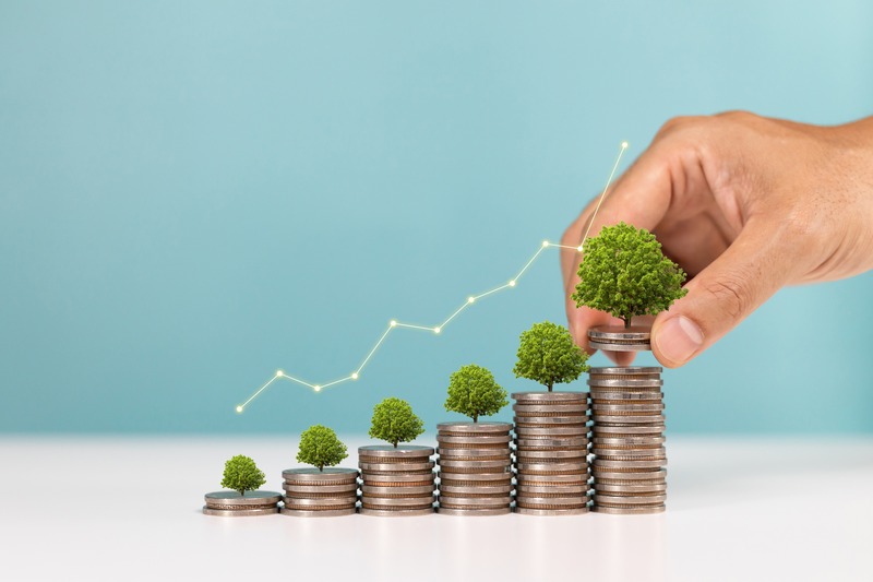  Fractional Marketing services Birmingham