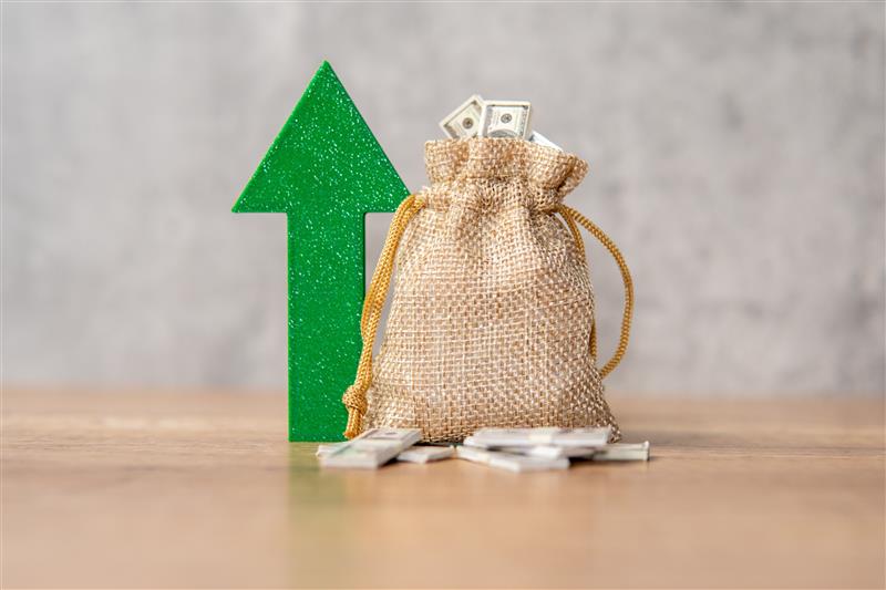 Fractional Marketing