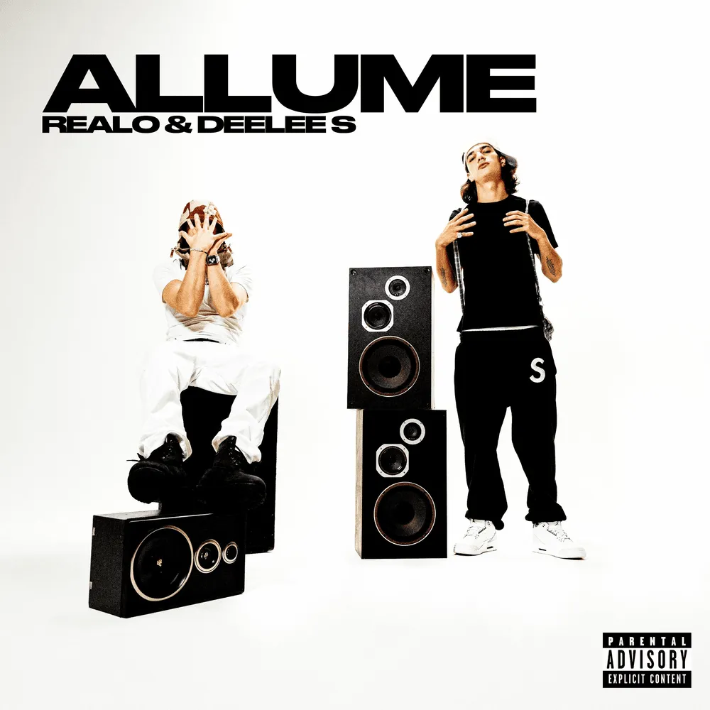 Représentation brodée d'un squelette portant une robe grise, monté sur un cheval blanc, avec le chiffre romain XIII et le mot « ASININE » en dessous.