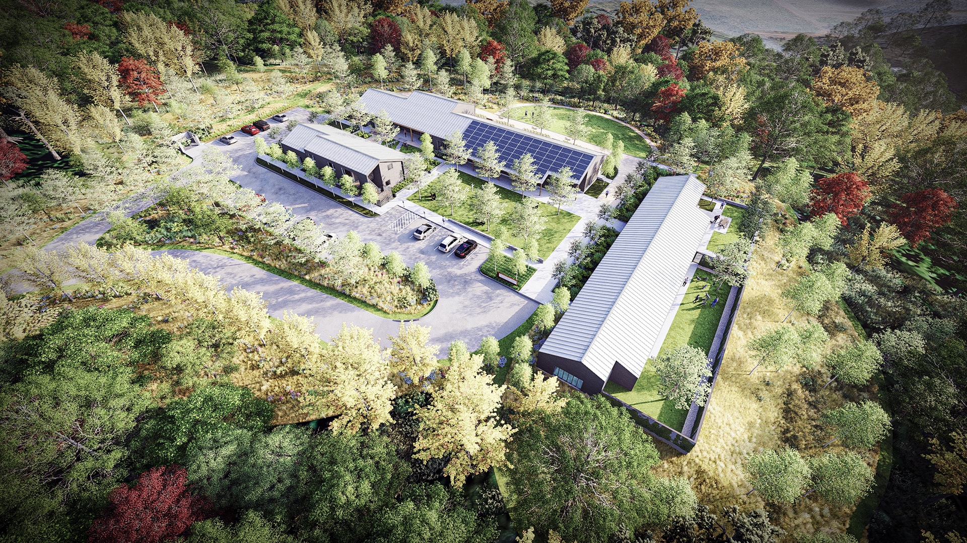 Service Dogs of Virginia