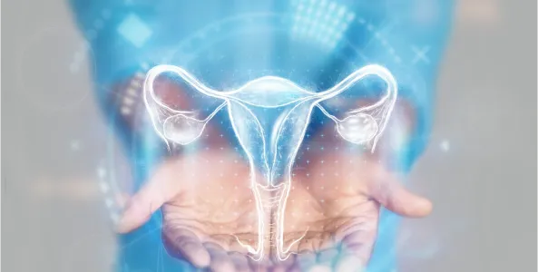 uterus