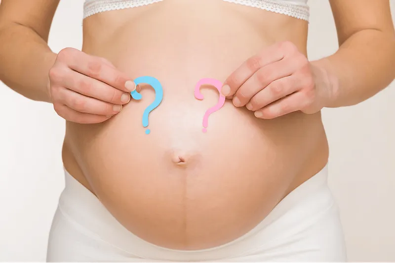 Gender Reveal Scan
