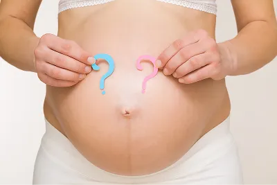 Gender Reveal Scan