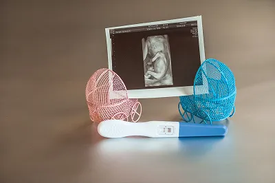 Early Pregnancy Scan