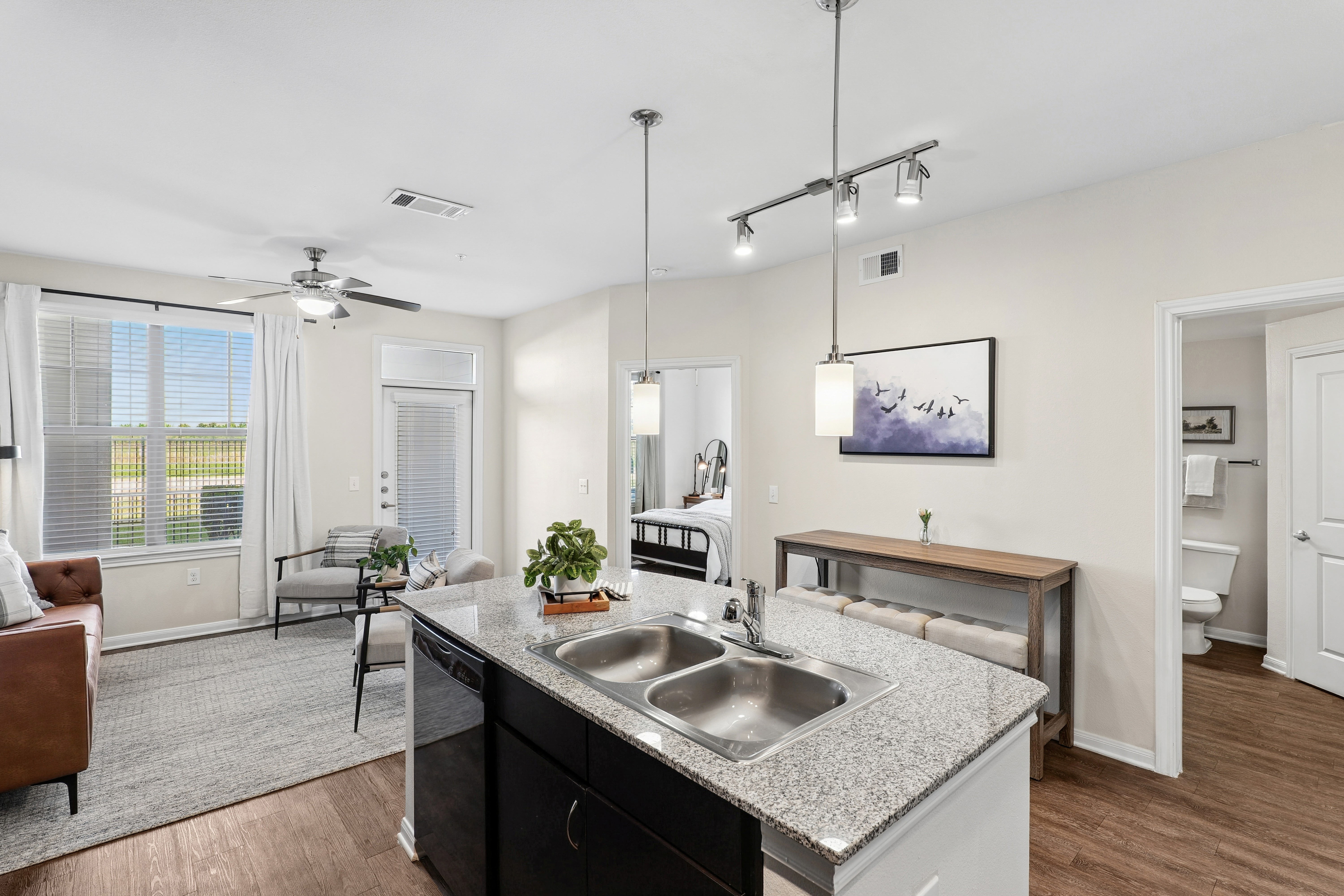Living room and kitchen