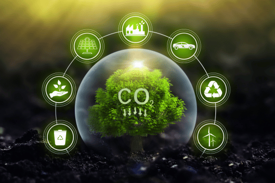 Reduktionspfad eines Unternehmen auf dem Weg zu Net Zero