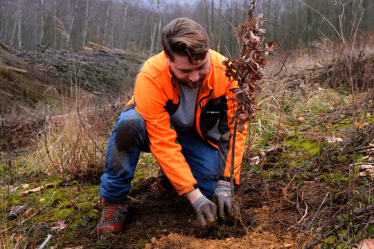 Klimaförster Jan Borchert pflanzt einen Baum