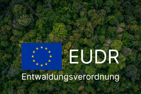 Regendwald mit EU-Logo und dem Schriftzug: EUDR Entwaldungsverordnung