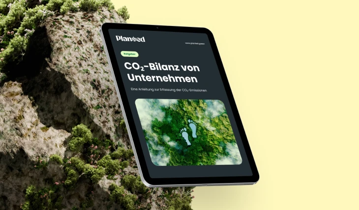 Vorschaubild Ratgeber CO2-Bilanz