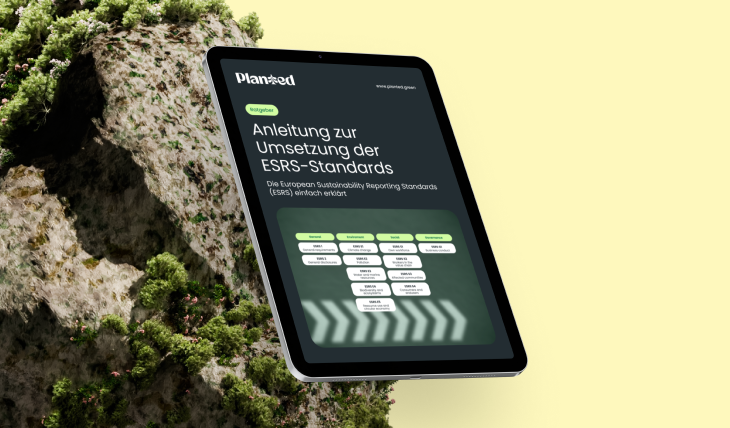 Vorschaubild des Ratgebers für die ESRS-Standards