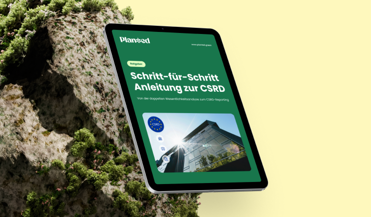 Vorschaubild des Ratgebers zur Umsetzung der CSRD