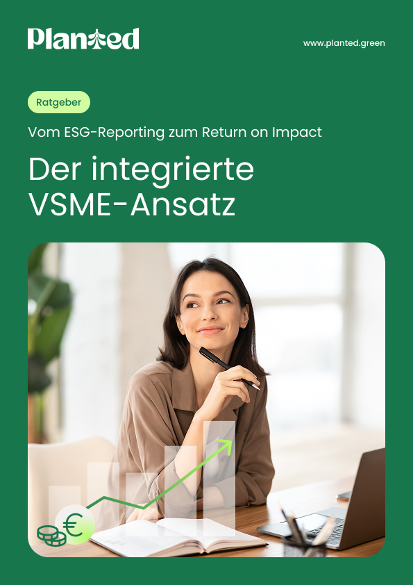 Vorschaubild des Ratgebers zum Return on Impact