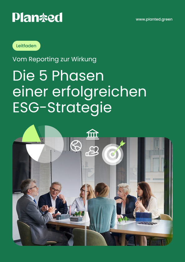 Vorschaubild des Ratgebers zur ESG-Strategie