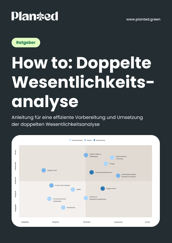 Vorschaubild des Ratgebers zur doppelten Wesentlichkeitsanalyse