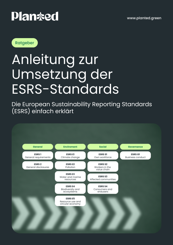 Vorschaubild des Ratgebers zur ESRS