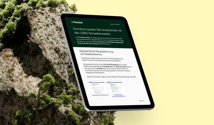 Vorschaubild des Infosheets zum EU-Omnibus