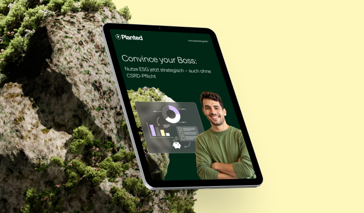 Das Bild zeigt die Titelseite des Convince your boss-Ratgebers