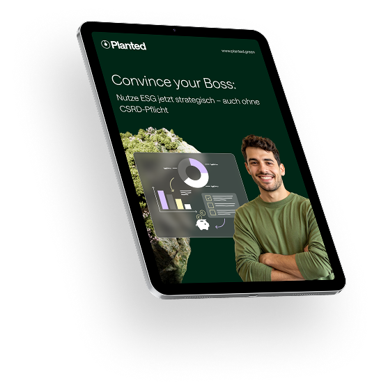 Das Bild zeigt die Titelseite des Convince your boss-Ratgebers