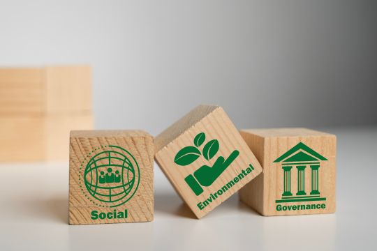 Das Vorschaubild zeigt drei Holzwürfel mit den Buchstaben E, S und G darauf