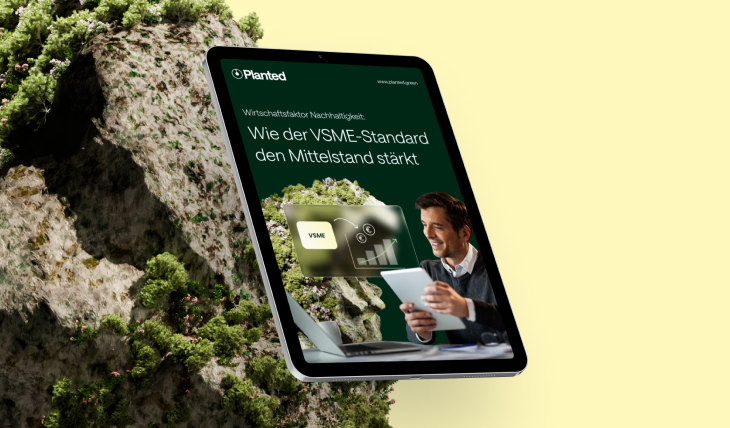 Vorschaubild des Ratgebers VSME-Standard als Wirtschaftsfaktor