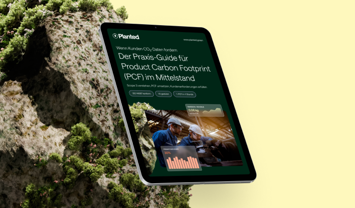 Cover Praxis-Guide PCF im Mittelstand