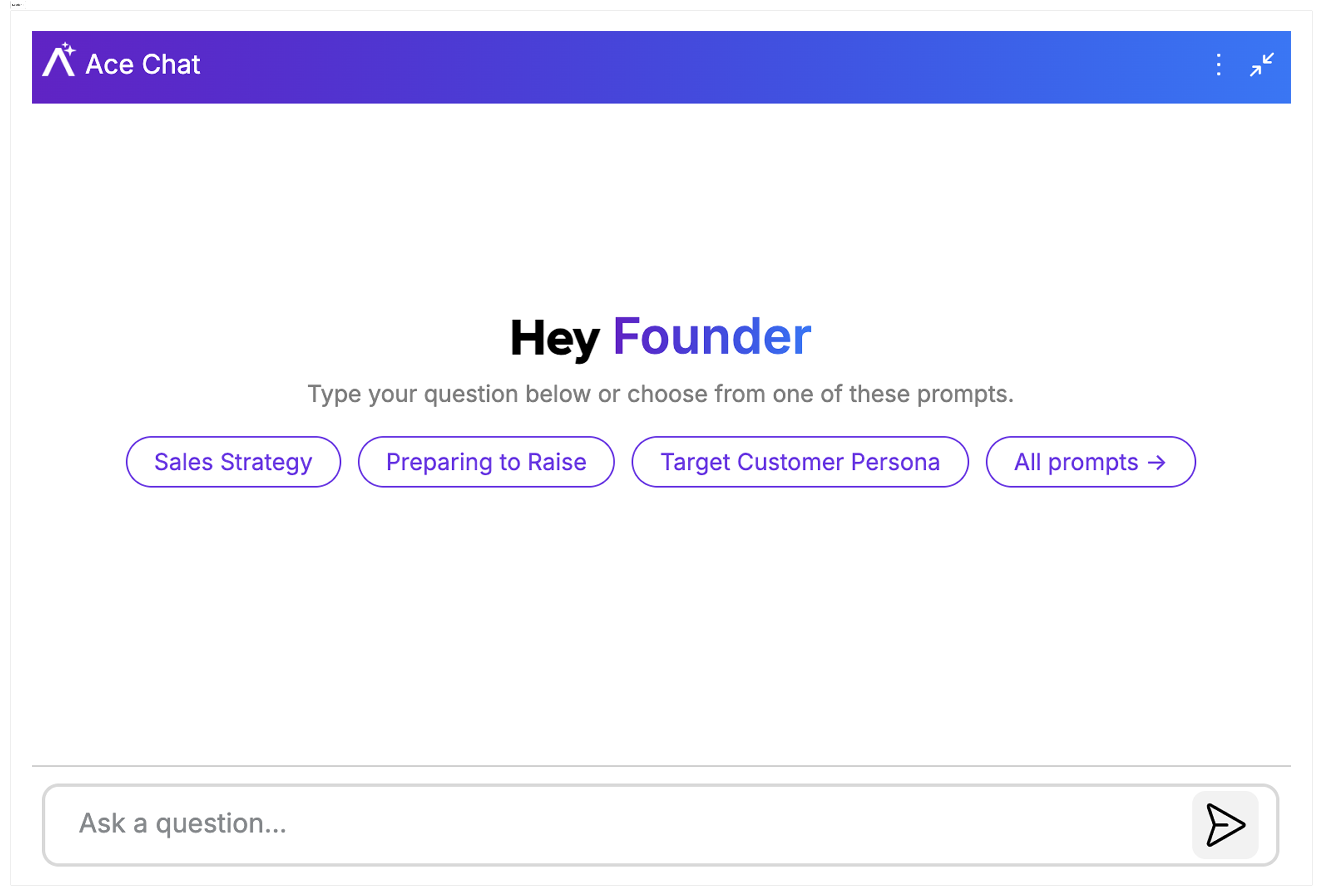 Ace, the AI Chatbot, chatting with user in a popup. There are prompt options including Sales Strategy and Target Customer Persona.