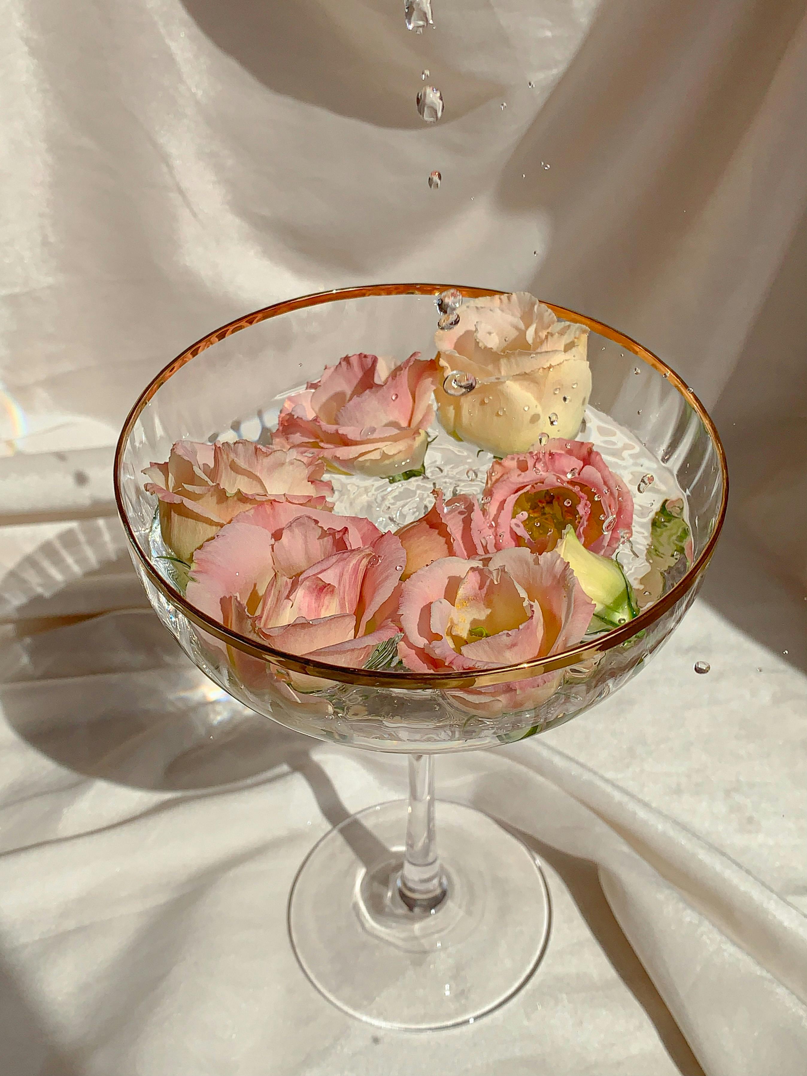 image of fundraising event (for a animal welfare nonprofit)