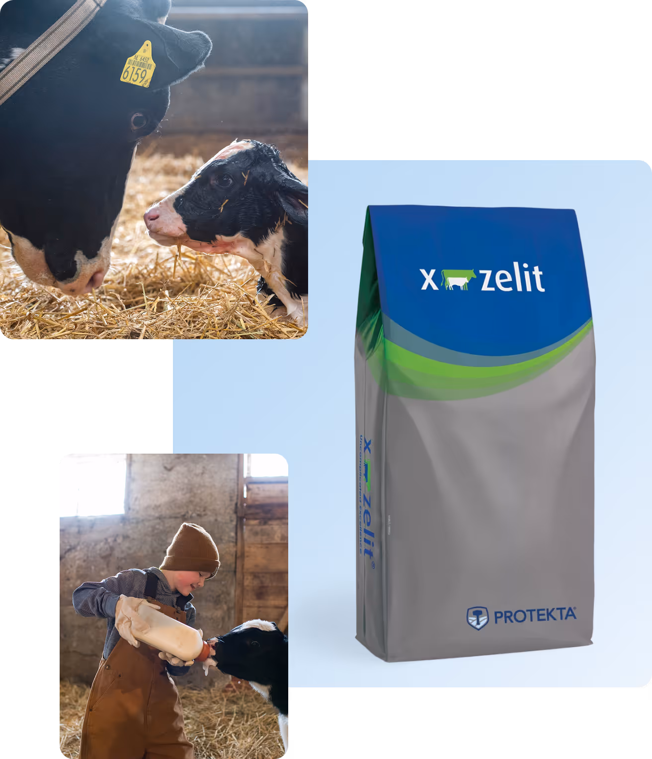 X-Zelit® for Dairy