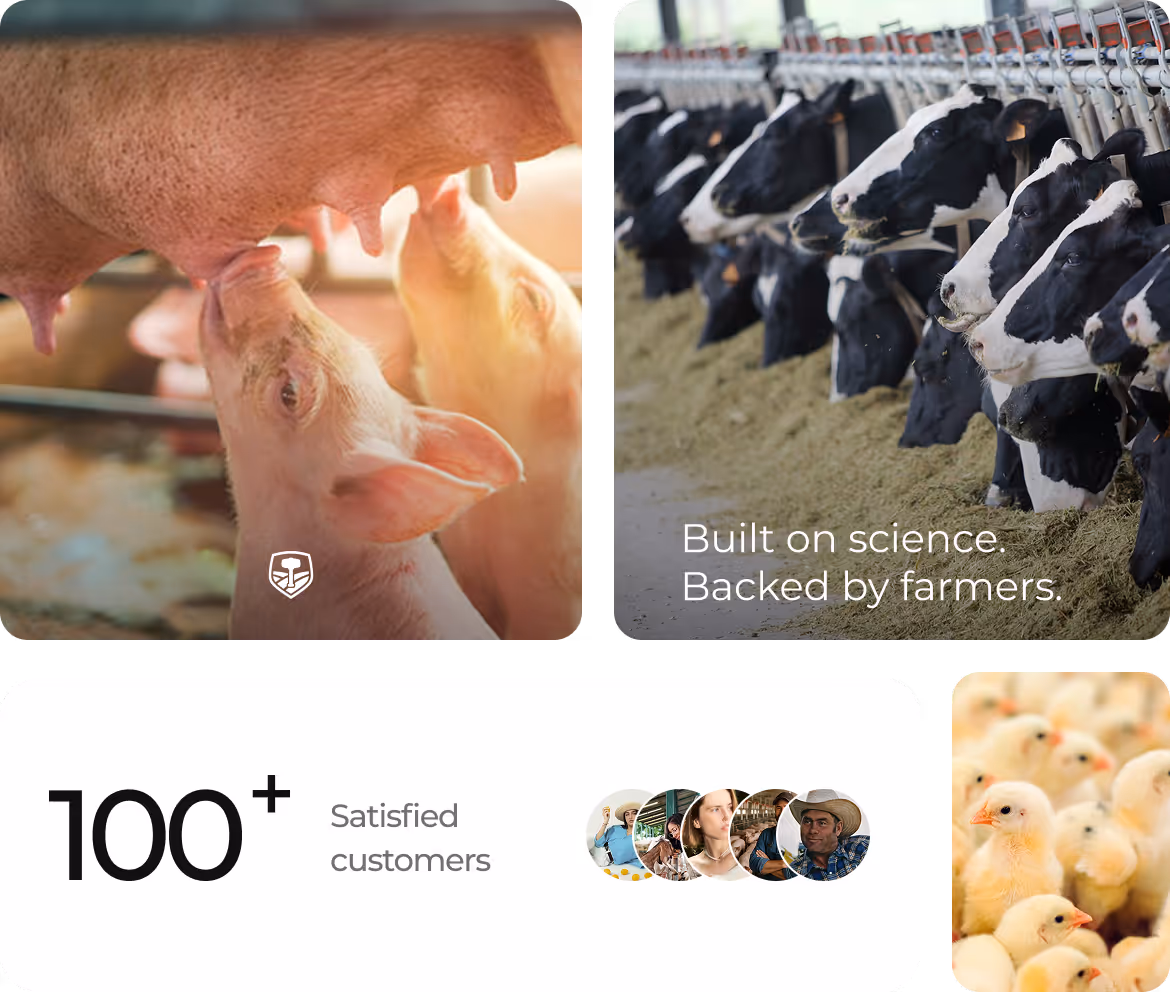 Connect with Our Experts
