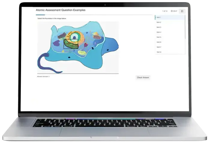 Illustration of UI