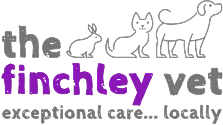 Finchley Vet