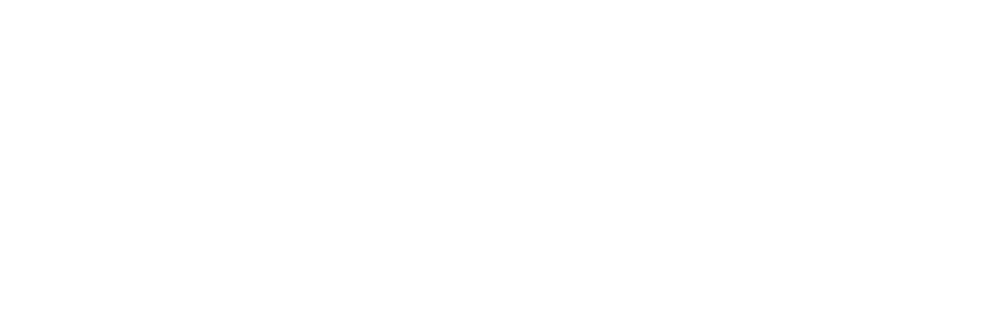 BM Industrial Solutions logo white