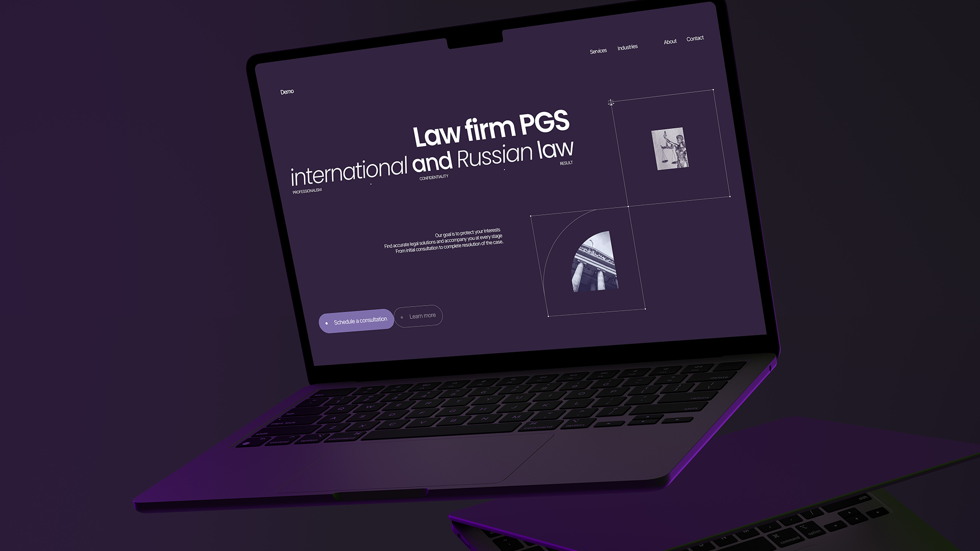 PGS Law Project