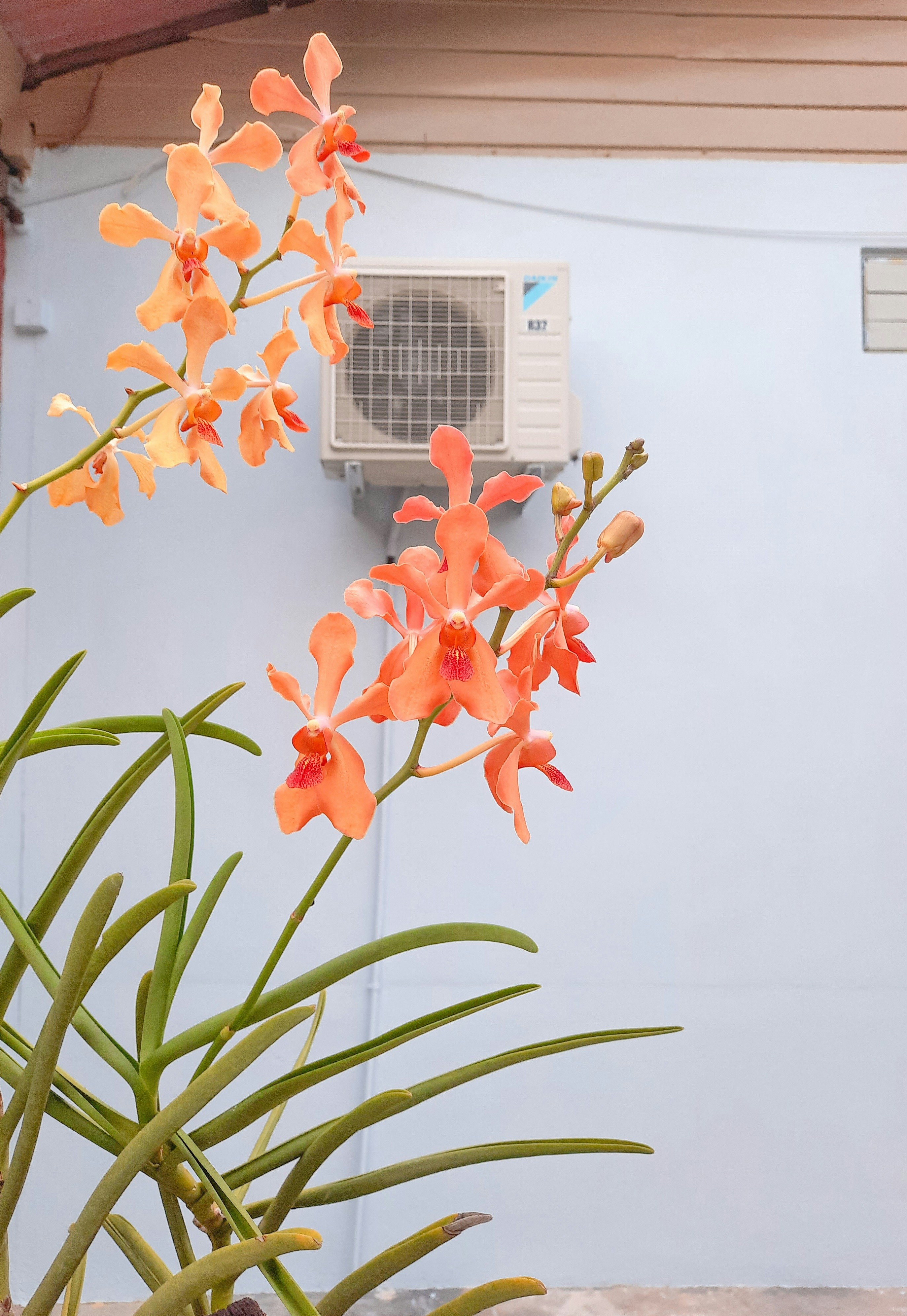 Air Conditioning Service in Creve Coeur, MO