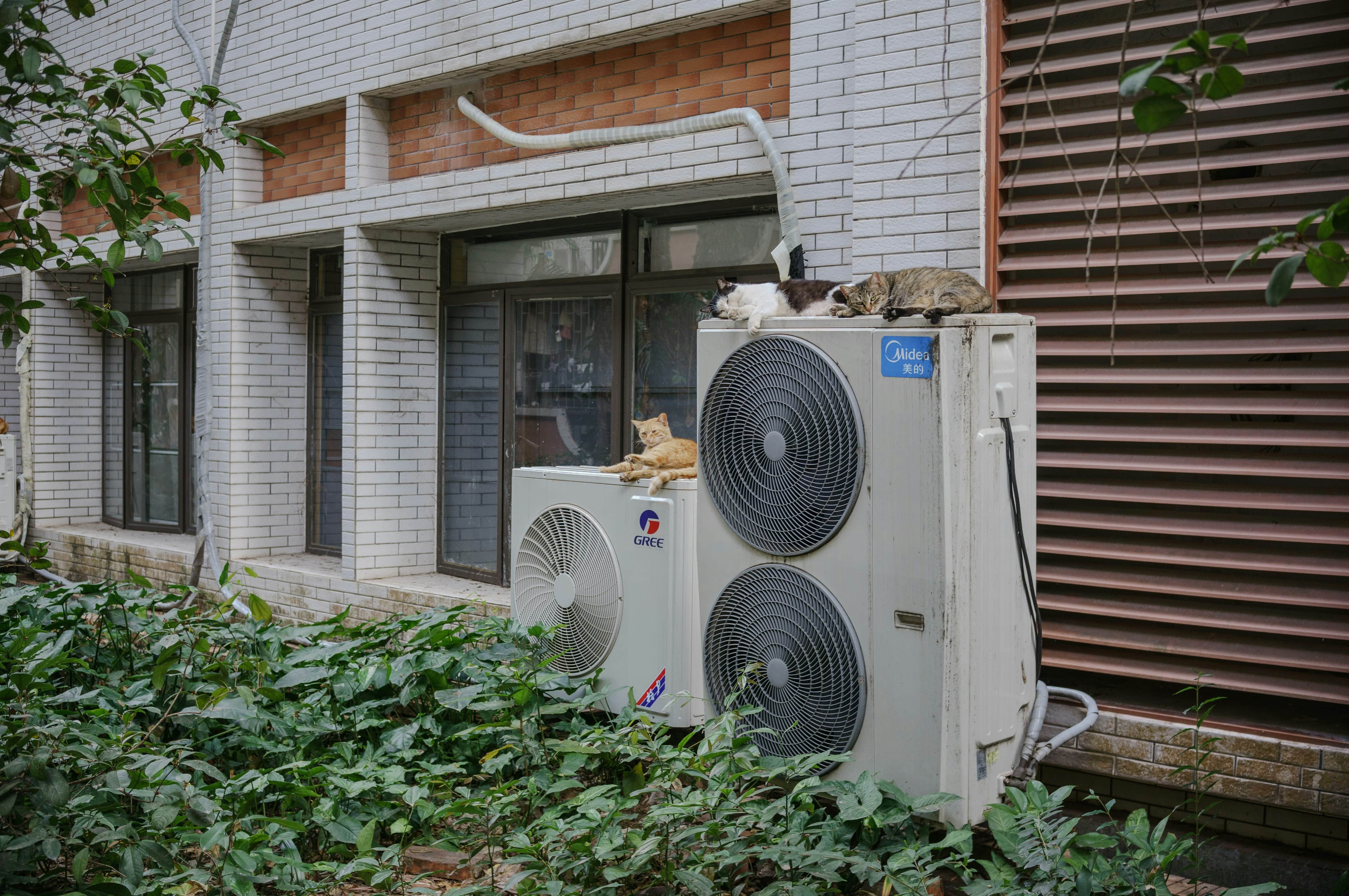 Mini-Split Installation in Kirkwood, MO