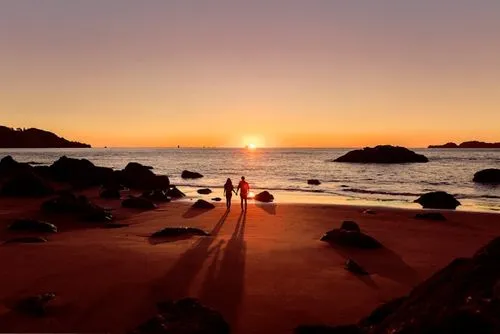 a couple holding hands watching the sunset on the beach