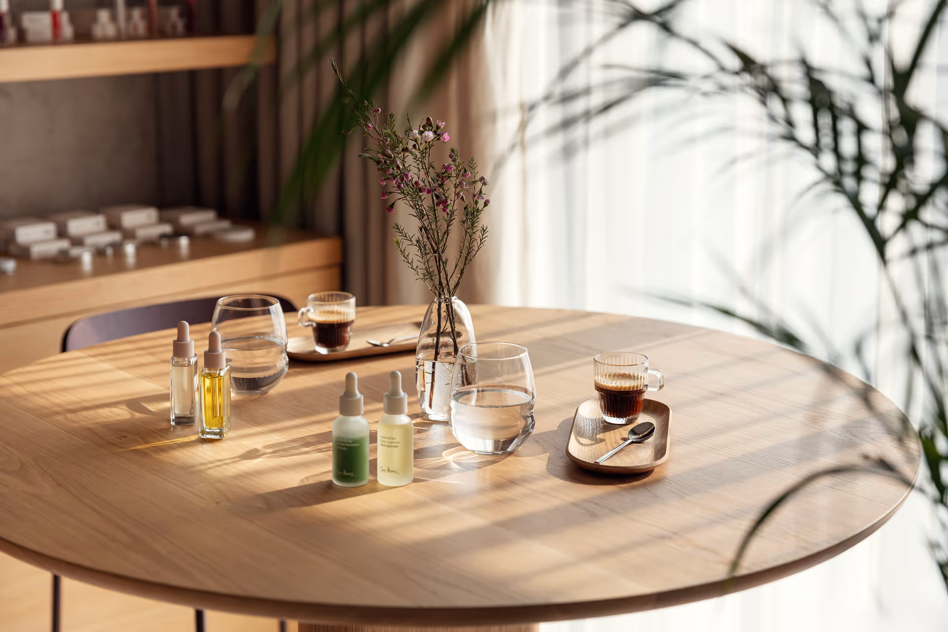 image of traditional chinese medicine ingredients