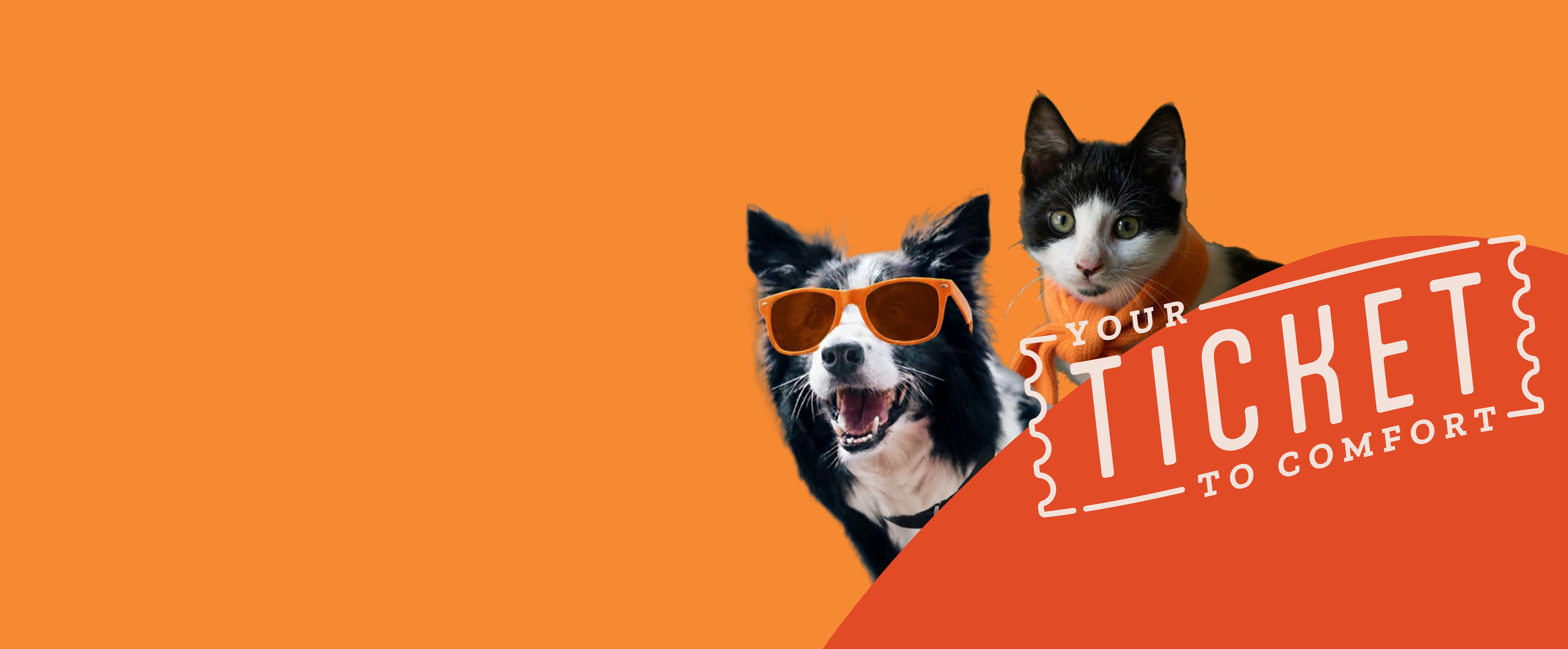 dog with a glass and a cat