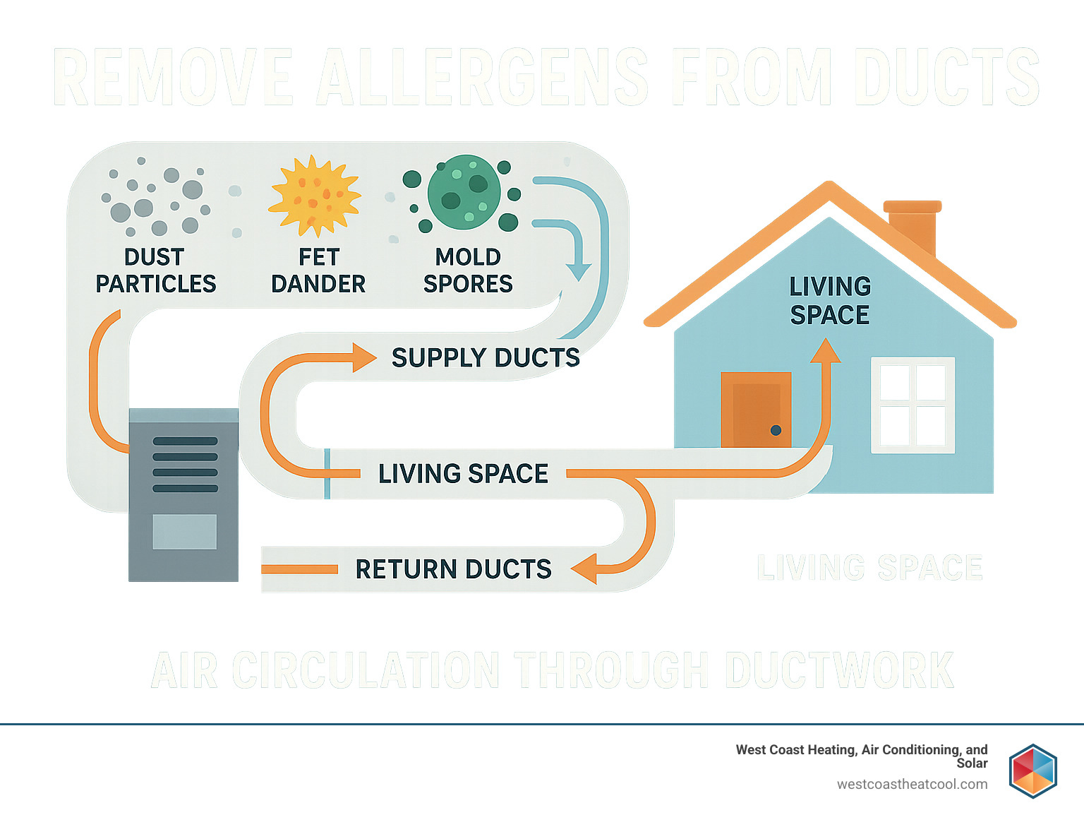 Infographic showing how HVAC systems circulate air through ducts throughout a home, with arrows indicating airflow patterns and potential allergen accumulation points in ductwork, including dust particles, pet dander, and mold spores being distributed from the central unit through supply ducts to living spaces and back through return ducts - remove allergens from ducts infographic