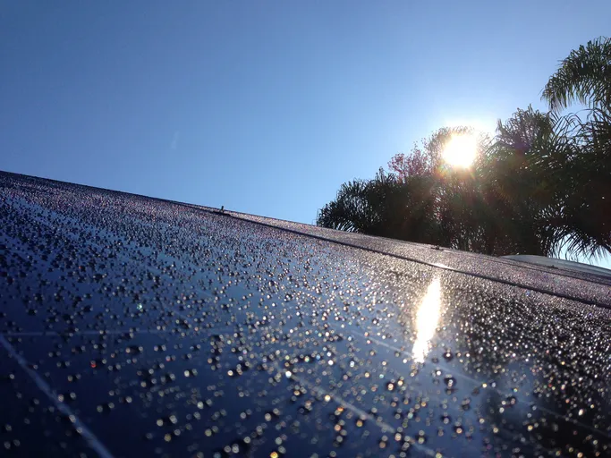 Close-up of a solar panel with droplets of water reflecting sunlight, surrounded by palm trees under a clear blue sky, illustrating energy-efficient solutions for homes in Chula Vista, CA.