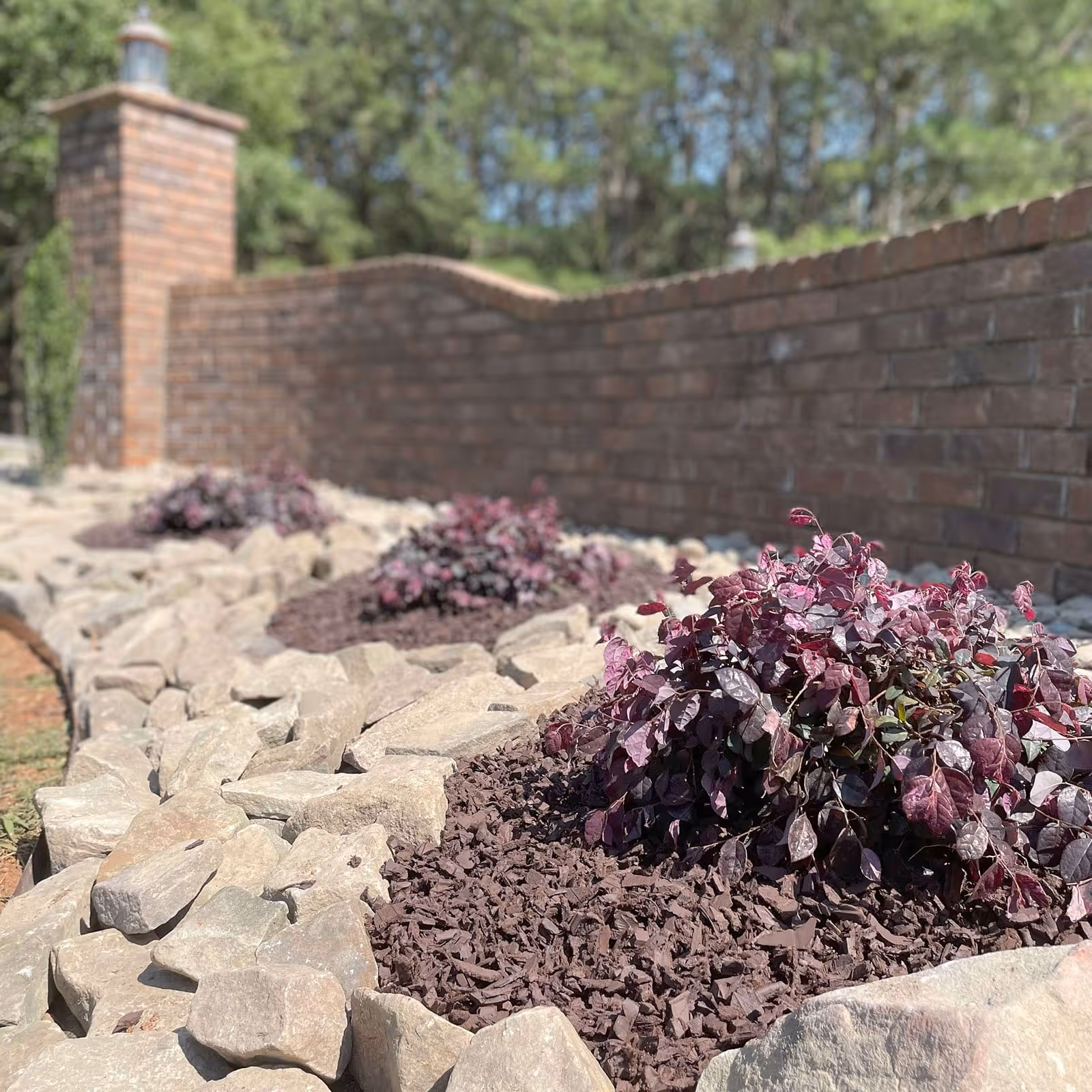 Front yard landscaping near Kings Mountain NC