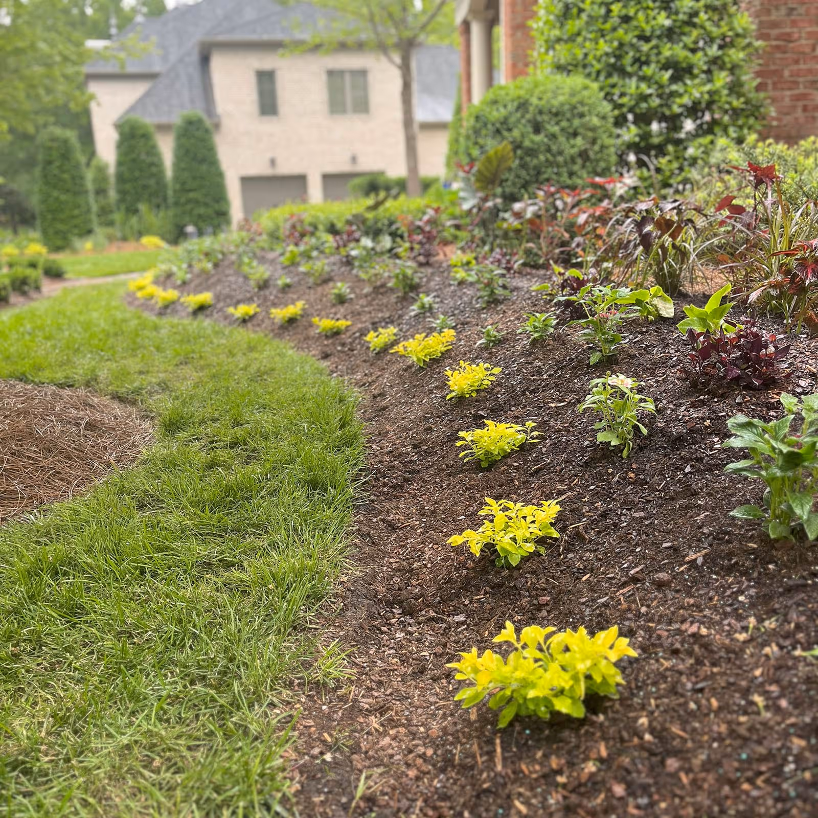 Commercial landscape services in Shelby NC
