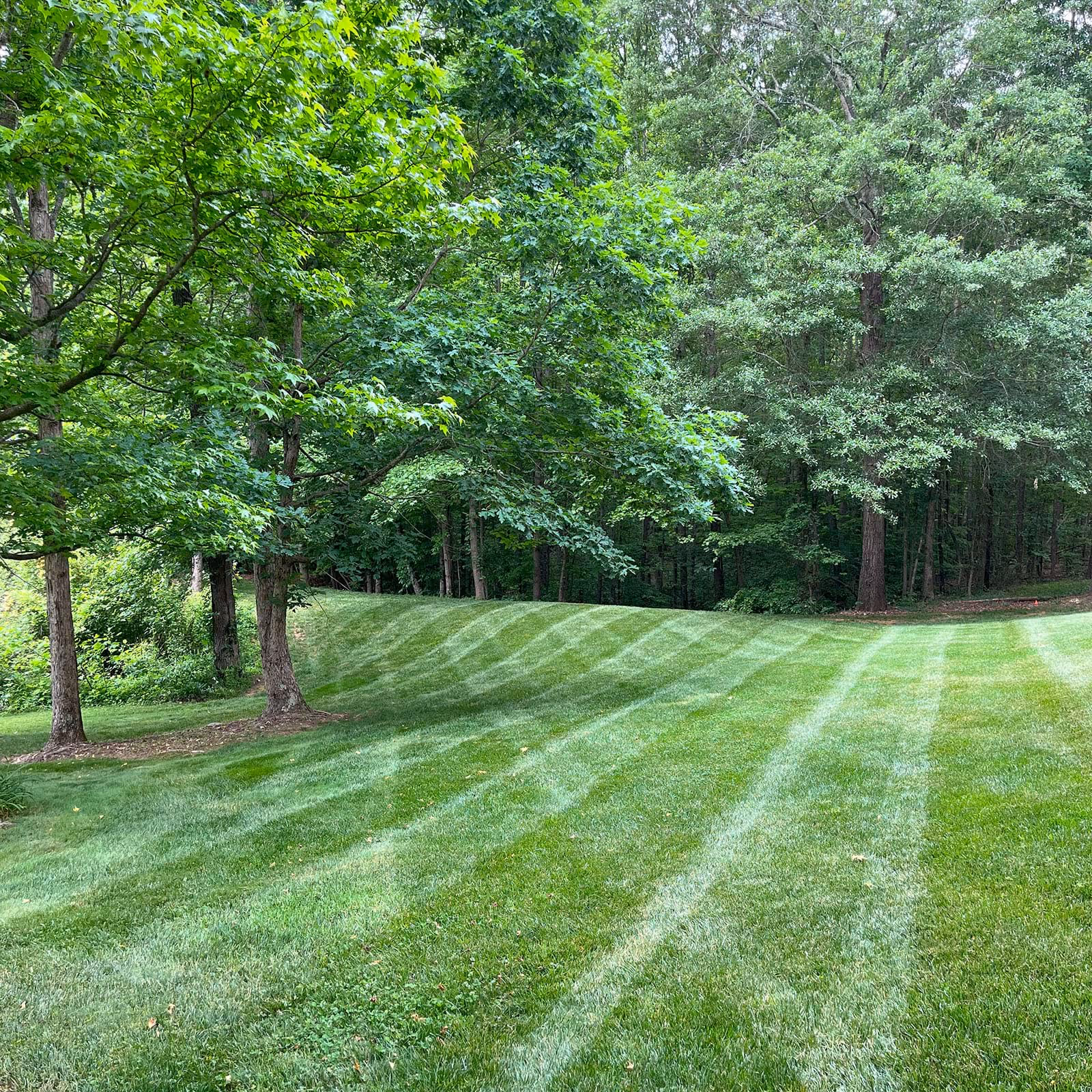 Full-service lawn care in Forest City NC