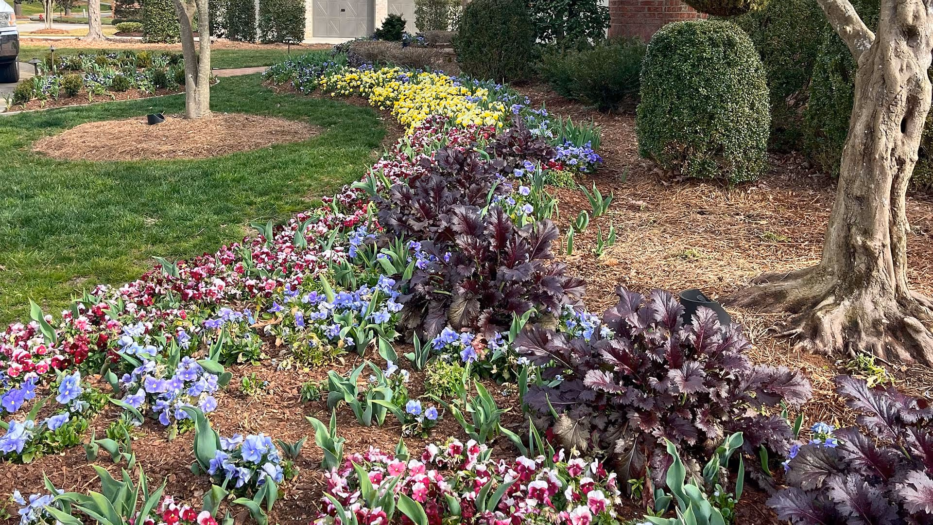 Landscape installation in Shelby NC