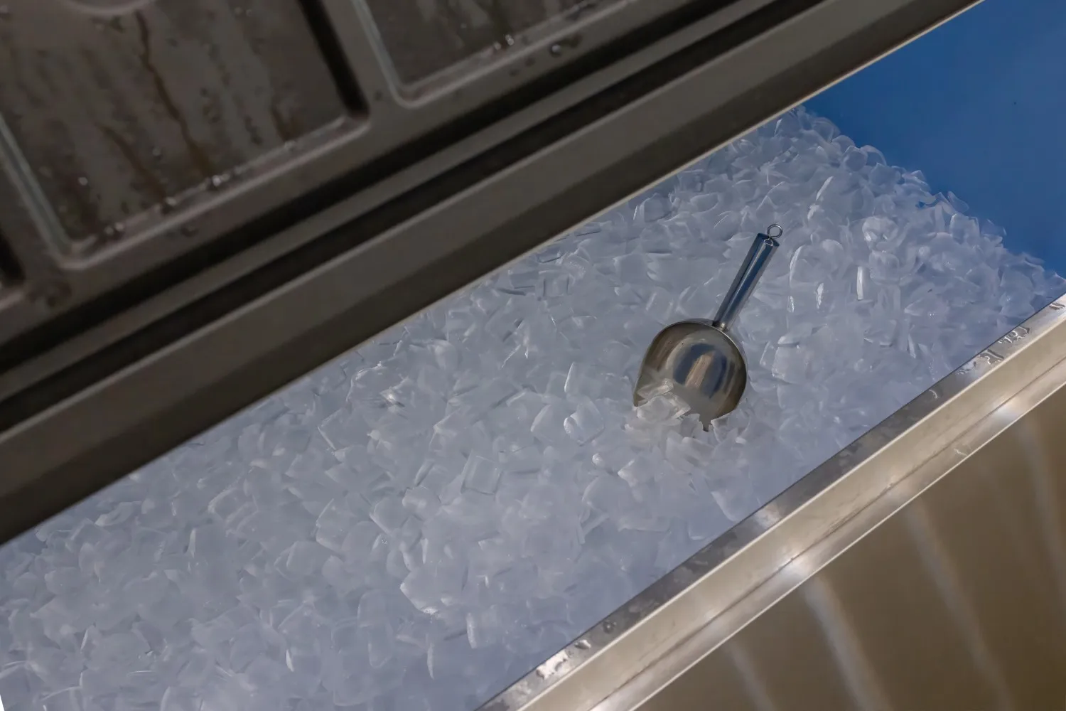 Ice scoop resting on a pile of fresh ice cubes inside the open storage bin of a commercial ice-making machine.