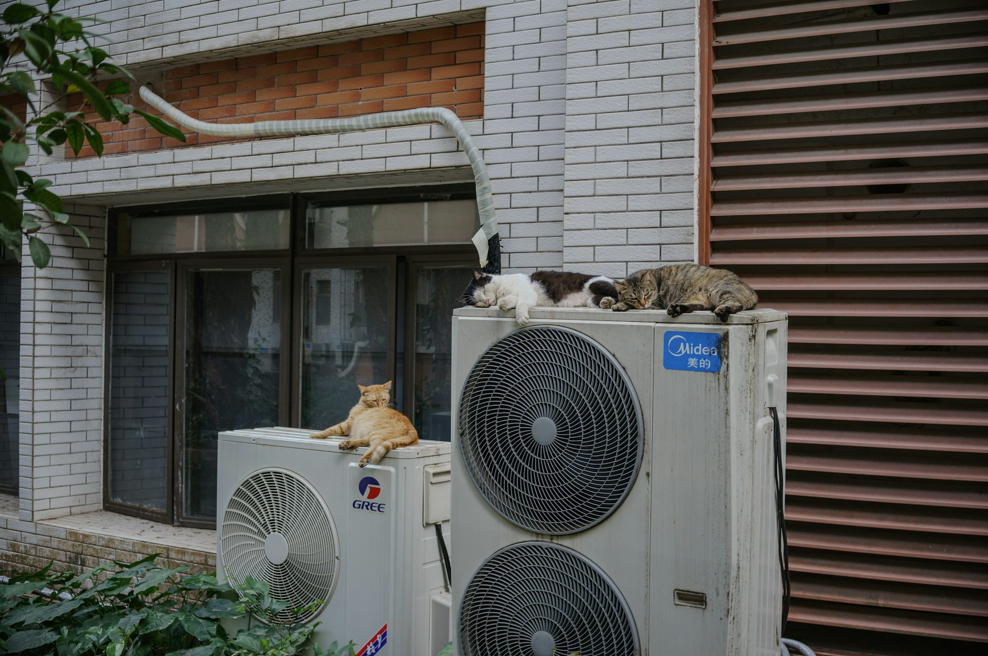 Warning Signs Your Heat Pump Needs Professional Attention in Killeen