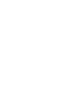 Footer Brand Logo