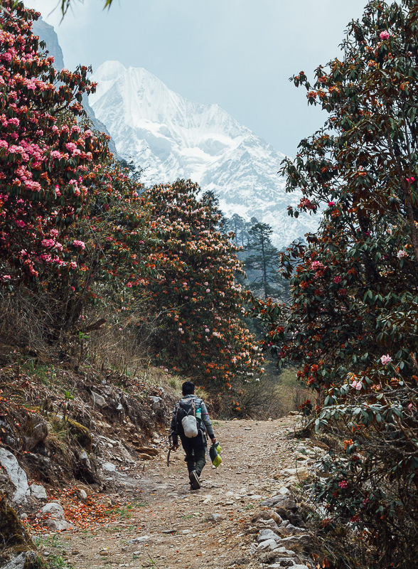 2026 South Asia Team 1